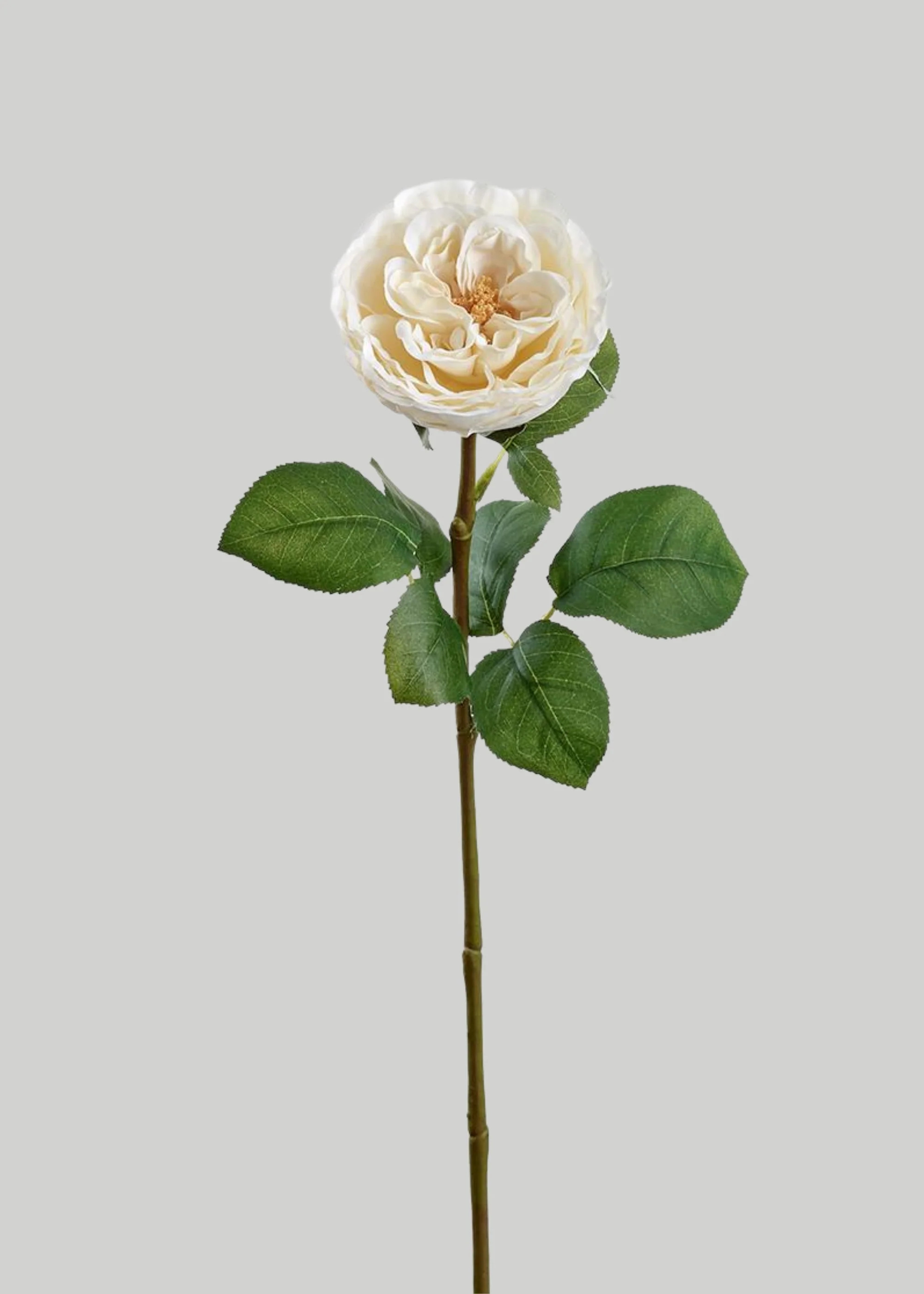 Fake Flower Rose in Cream - 26" | Afloral