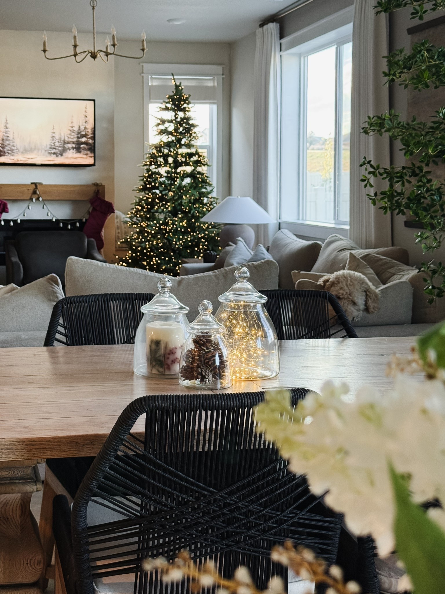 beautiful bon bon jars for christmas 😍

#LTKHome #LTKSeasonal