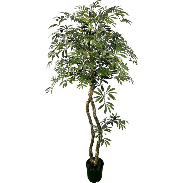 Mediterranean 6' Artificial Olive Tree - Walmart.com | Walmart (US)