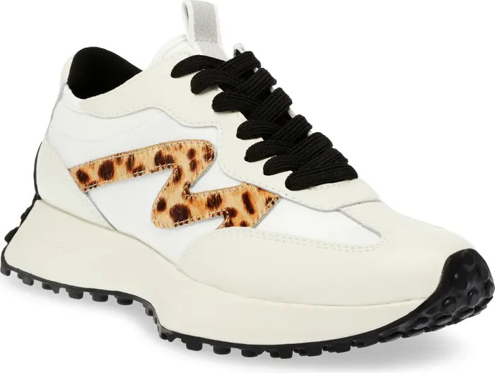 Steve Madden Campo Sneaker (Women) | Nordstrom | Nordstrom