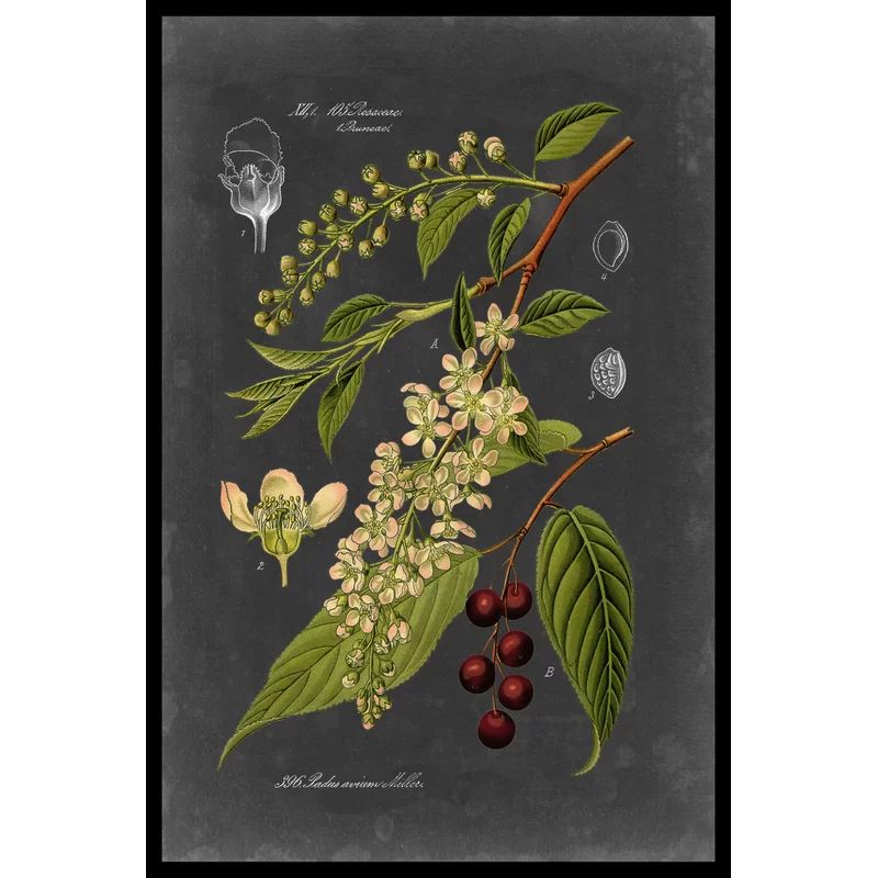 Midnight Botanical II On Canvas by Vision Studio Print | Wayfair North America