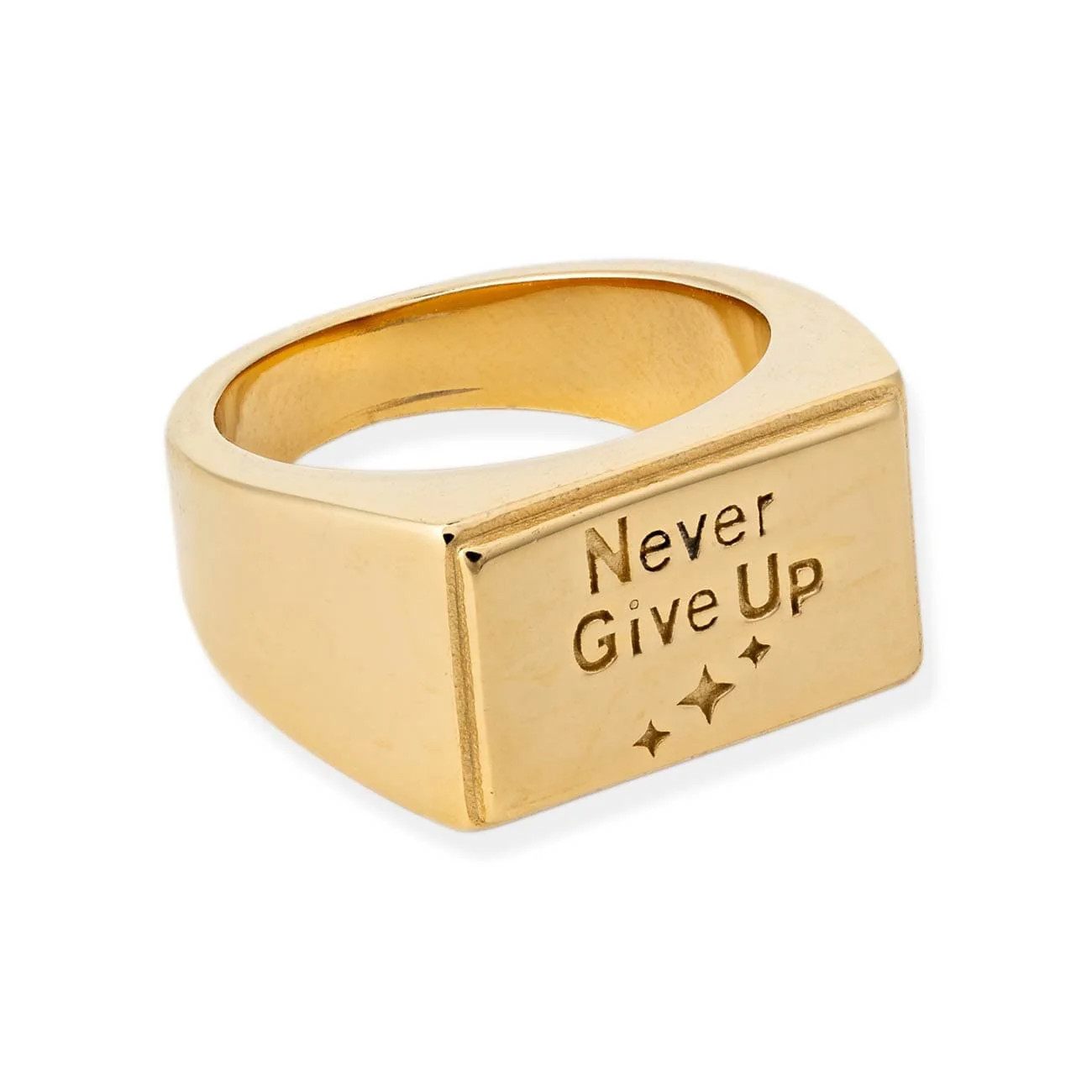 Never Give Up Signet Ring | BRACHA