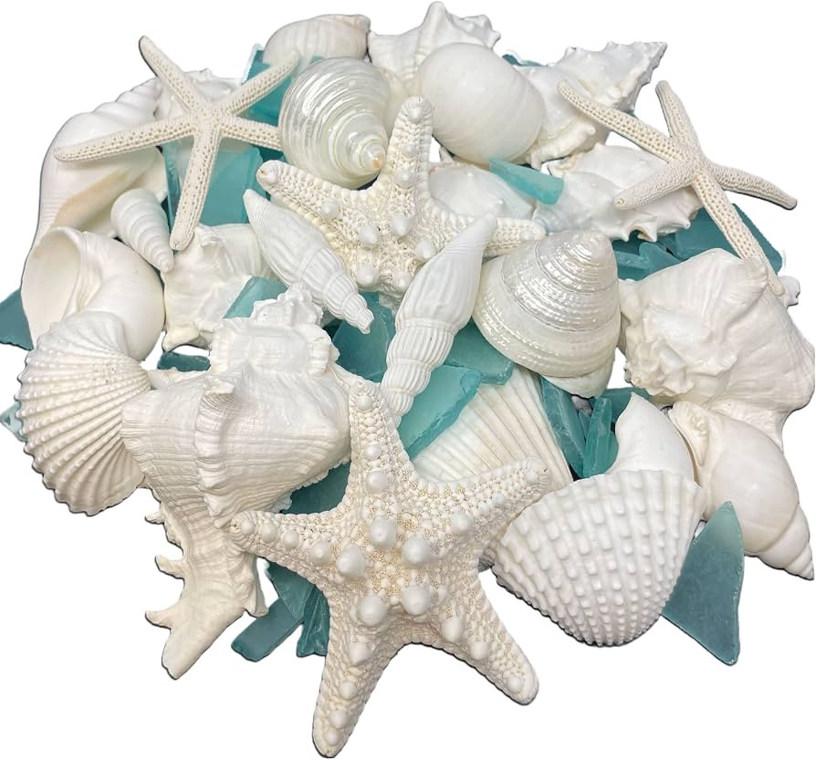 Tumbler Home Natural Sea Shells, Starfish & Sea Glass, Generous 1.5 lbs Hand Picked \u2013 Hand P... | Amazon (US)