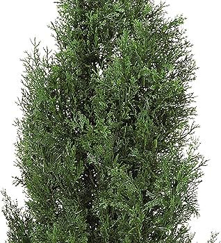 Nearly Natural 4FT Faux Cedar Tree, Outdoor Front Porch Décor, Faux Cedar Tree Pine Tree in Nurs... | Amazon (US)