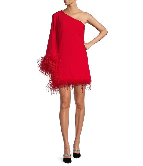 Cosima One Sleeve Asymmetrical Neckline Feather Trim Dress | Dillard's