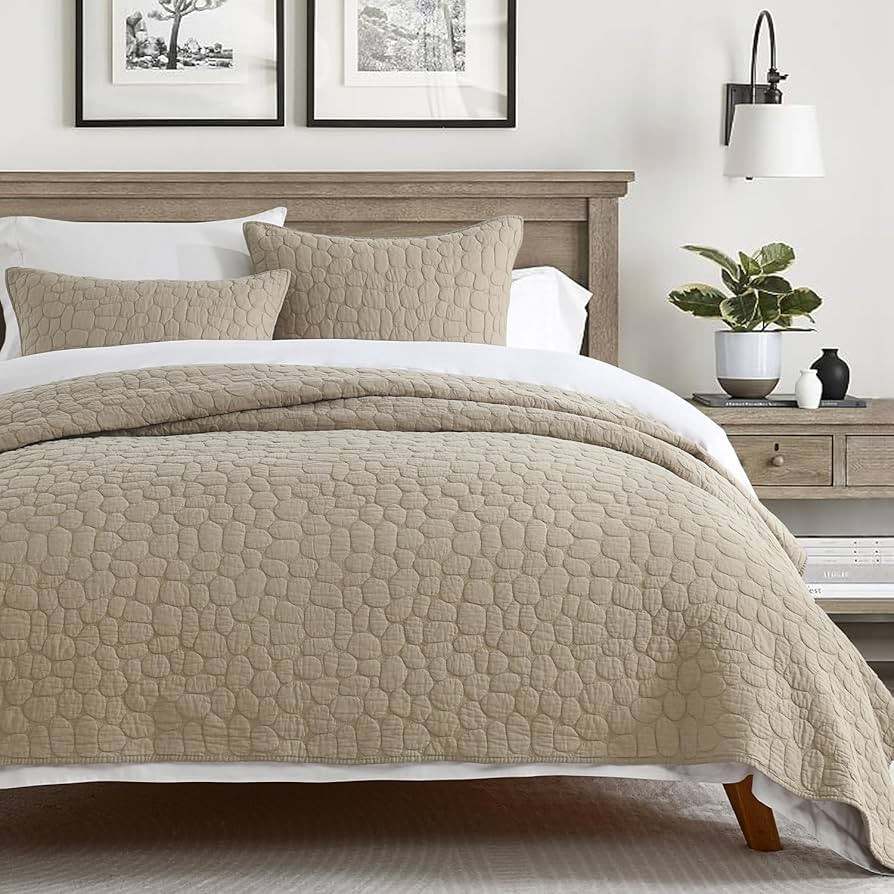 HORIMOTE HOME 100% Cotton Quilt Set Queen Size, Dark Beige Pre-Washed Bedspreads Coverlet Set wit... | Amazon (US)