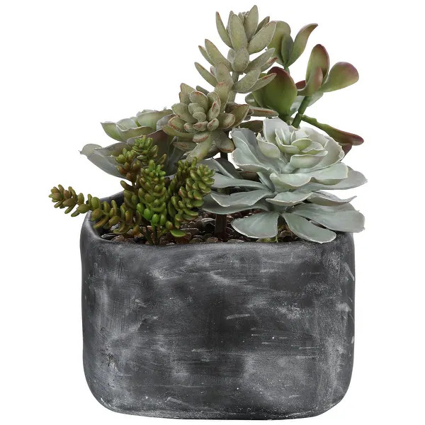 Uttermost Alverio Desert Garden Succulents | Bed Bath & Beyond
