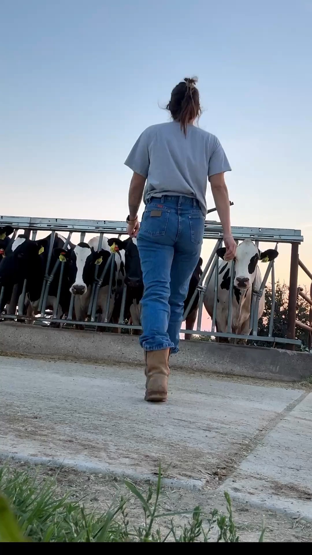 #LTKStyleTip #LTKFindsUnder50 #LTKWorkwear