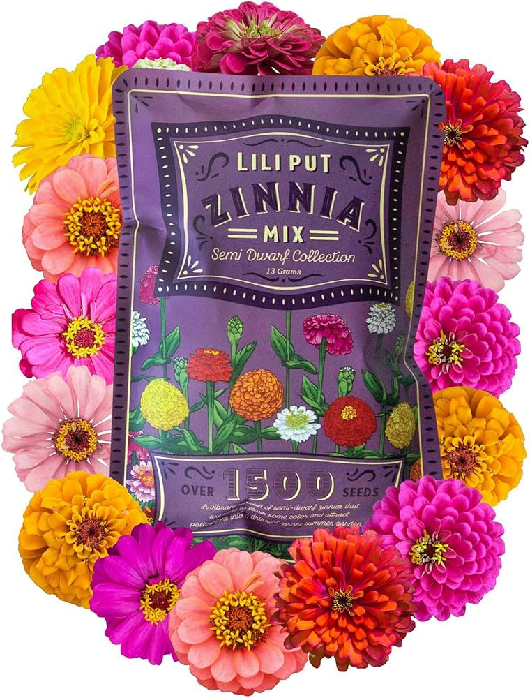 Zinnia Seeds for Planting Outdoors - ~1,500 Lilliput Semi-Dwarf Zinnia Seeds - Dazzling 1-2" Lush... | Amazon (US)