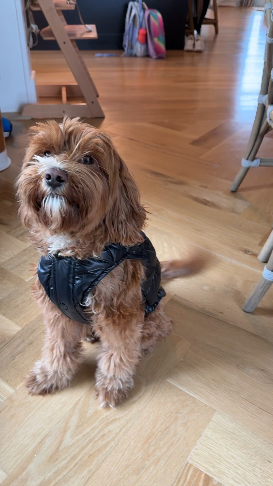 saylor’s very own puffer jacket !! 😂😍

#LTKGiftGuide #LTKHoliday #LTKSeasonal