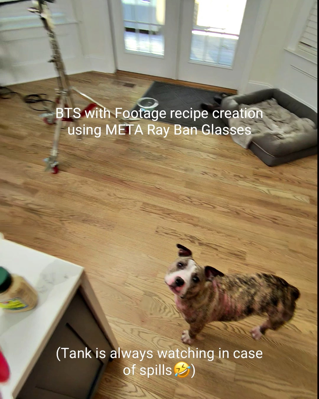 Behind the scenes with the Meta Ray Ban Glasses. The quality is so good and it’s a great way to film hands free. 


#LTKCyberWeek #LTKGiftGuide #LTKHoliday