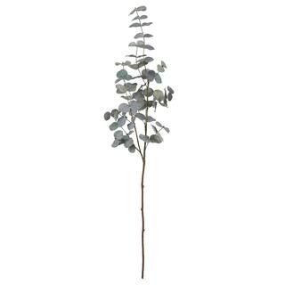 Eucalyptus Leaf Stem by Ashland® | Michaels Stores