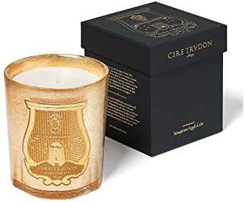 Cire Trudon Limited Edition Gold Leaf Ernesto Candle - 9.5 oz | Amazon (US)
