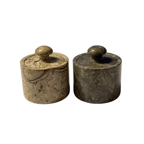 TheWolfard Marble Salt Cellar Keep Spices Fresh Seasoning Holder for Herbs Sugar Salt Keeper With Handmade Lid Knob Like Mushroom Best 3-Inch Marble Dish (Fossil and Coral) | Amazon (US)