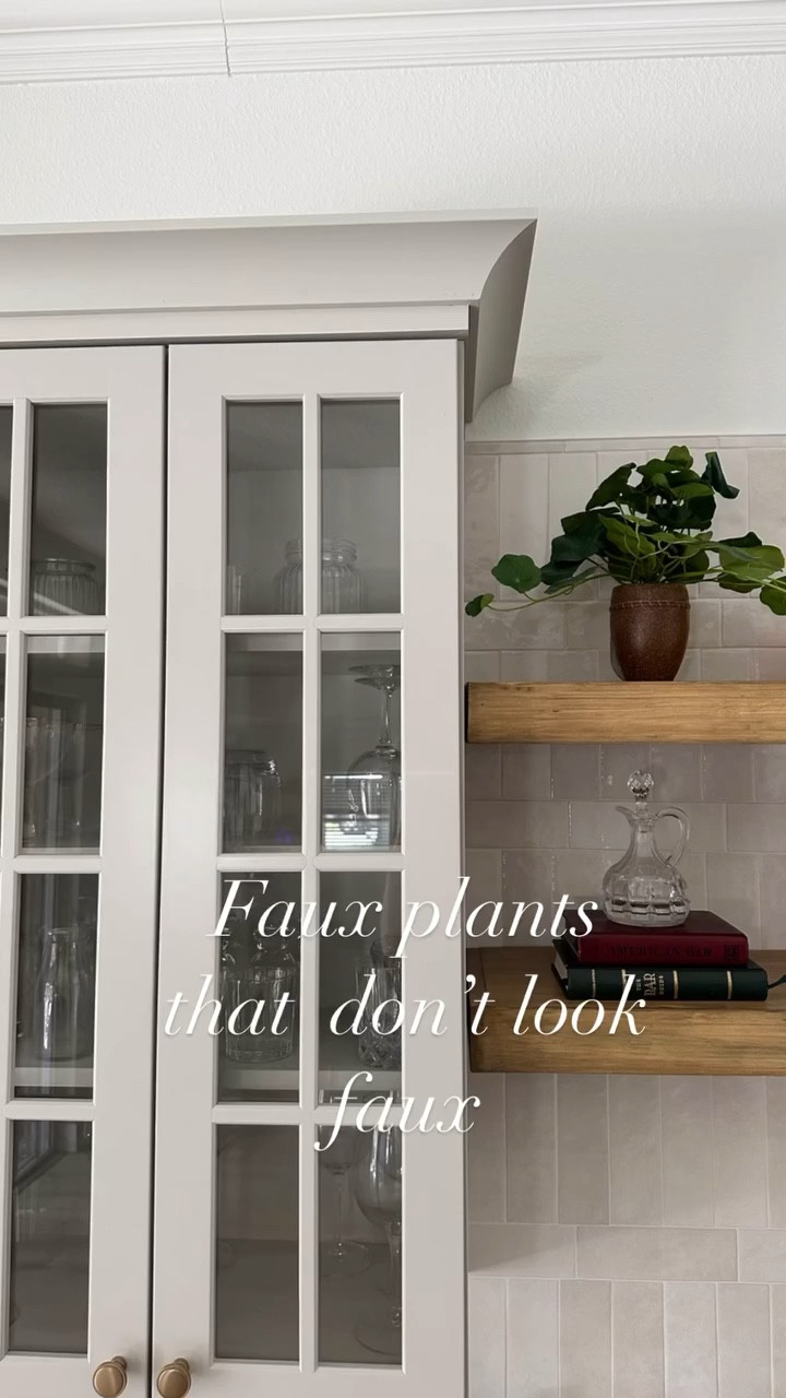 Looking for inexpensive faux plants? These are some of my favorites!🌿



#affordablehomedecor #lookforless #looksforless #moodboards #homedecor #homestyling #shelfstyling #modernorganic #neutralhome #custommoodboard #bathroomupdate #kitchenupdate #homereno #target #fauxplants #fauxplantsdecor #plantdecor

#LTKFindsUnder50 #LTKHome