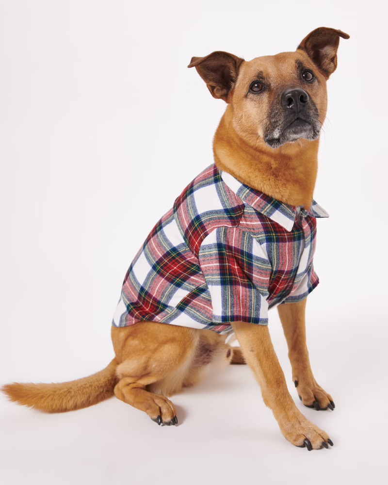 A&F Pet Flannel | Abercrombie & Fitch (US)