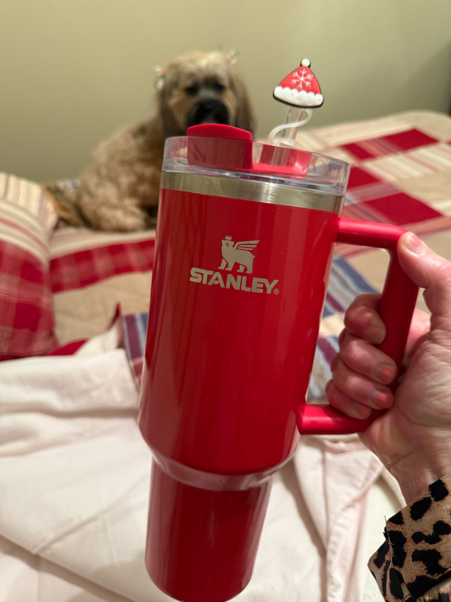Who else keeps 💦 by their bed at night? It’s a must for me! So this gorgeous E.L.F. In RED Delicious Stanley Quencher was a must holiday grab for me! 

Isn’t she gorgeous? 🎄🧑🏻‍🎄🎅🏼

#LTKHome #LTKFindsUnder50 #LTKHoliday