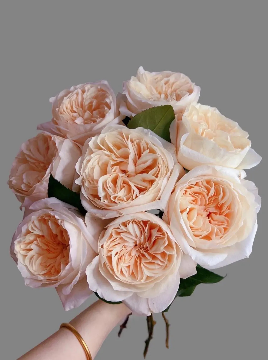 English Wedding Rose, 贝茜, 2-year-old Plant, Long-lasting Cut Rose | Etsy (US)