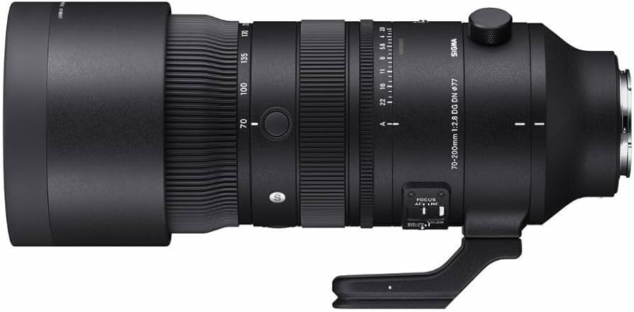 70-200mm F2.8 DG DN OS for Sony | Amazon (US)