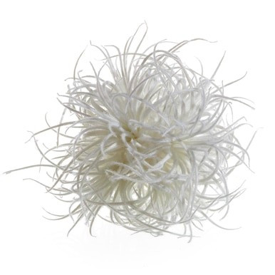 Faux Airplant Sphere | Z Gallerie