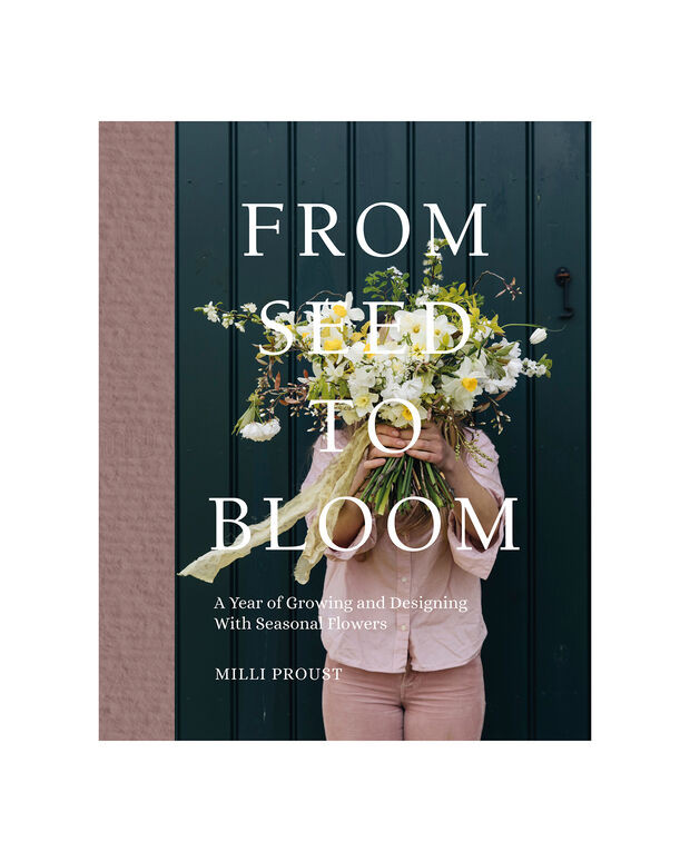From Seed to Bloom | Haven Well Within