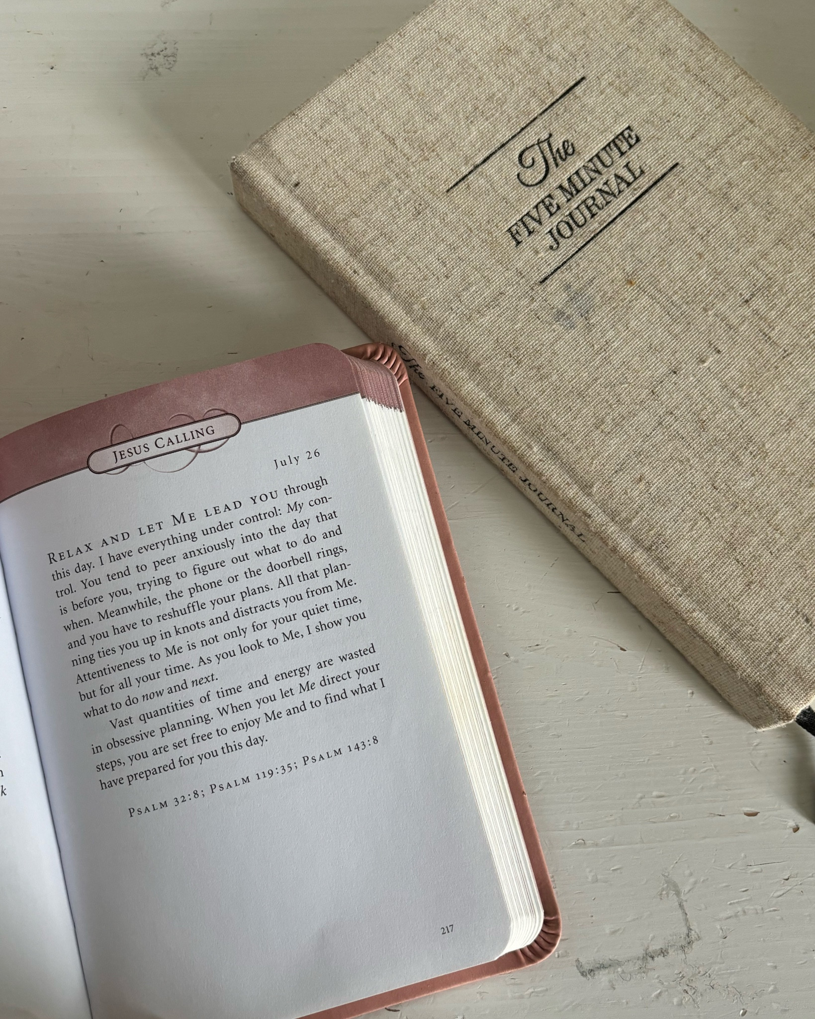 morning journal and devotional 🩷