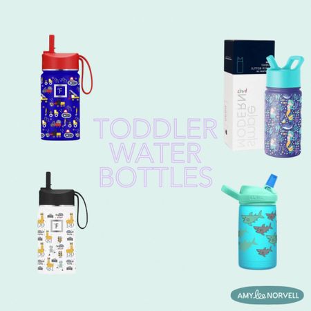 Our favorite toddler water bottles - all insulated stainless steel. We never use the straws it comes with, save yourself the headache, kids just tilt their heads back. 

#LTKkids #LTKfamily #LTKbaby
