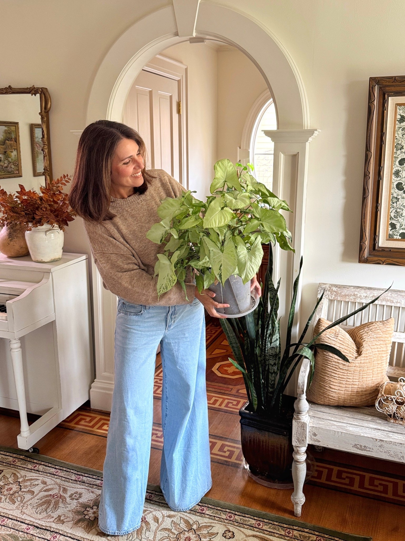 Cozy fall OOTD and one of my gorgeous syngoniums. Easy to grow and looks great on a side table or plant stand. 

Sweater, wide leg jeans, area rug, throw pillow, fall stems, snake plant, syngonium, gourds, fall decor

#LTKOver40 #LTKSeasonal #LTKHome