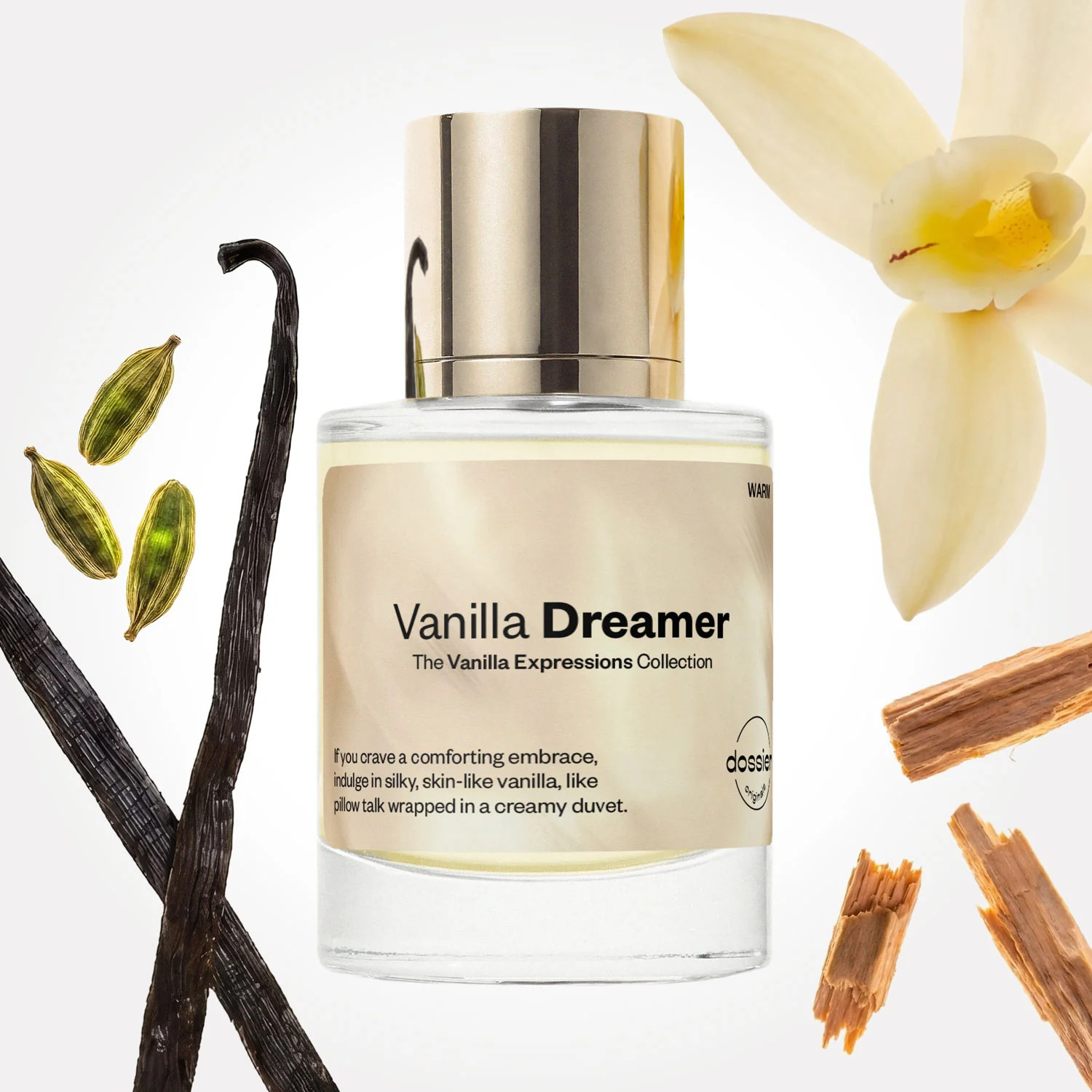 Vanilla Dreamer | Dossier