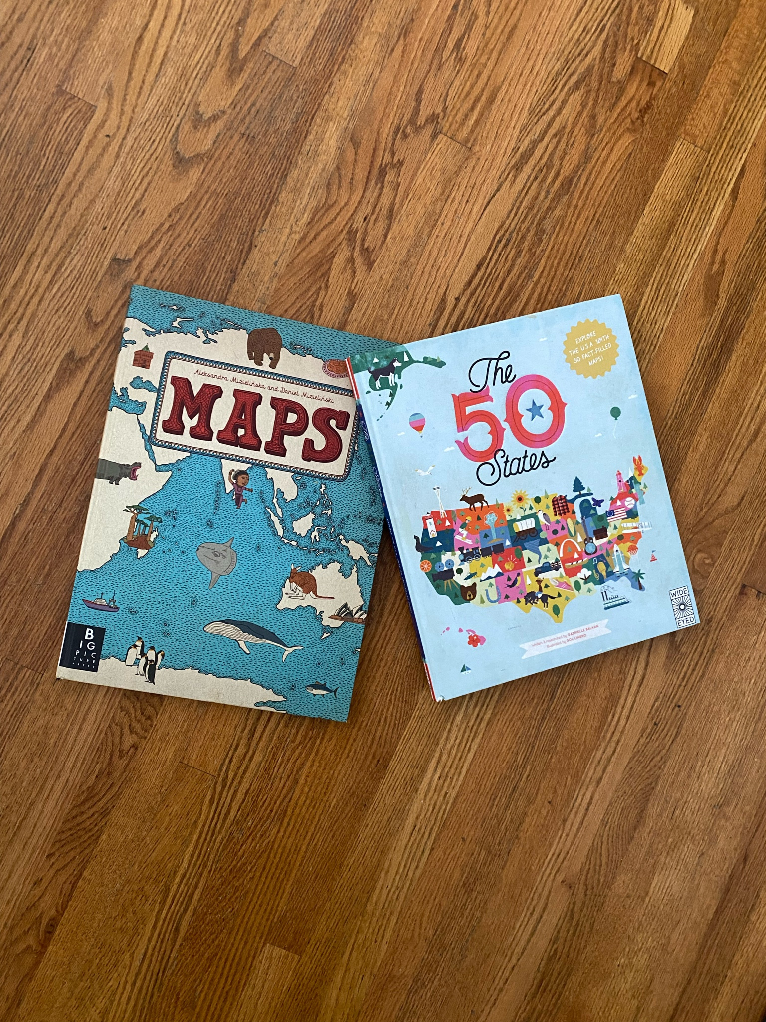 Some of our favorite geography books!  Neatest illustrations! 

#LTKkids #LTKfindsunder50 #LTKfamily