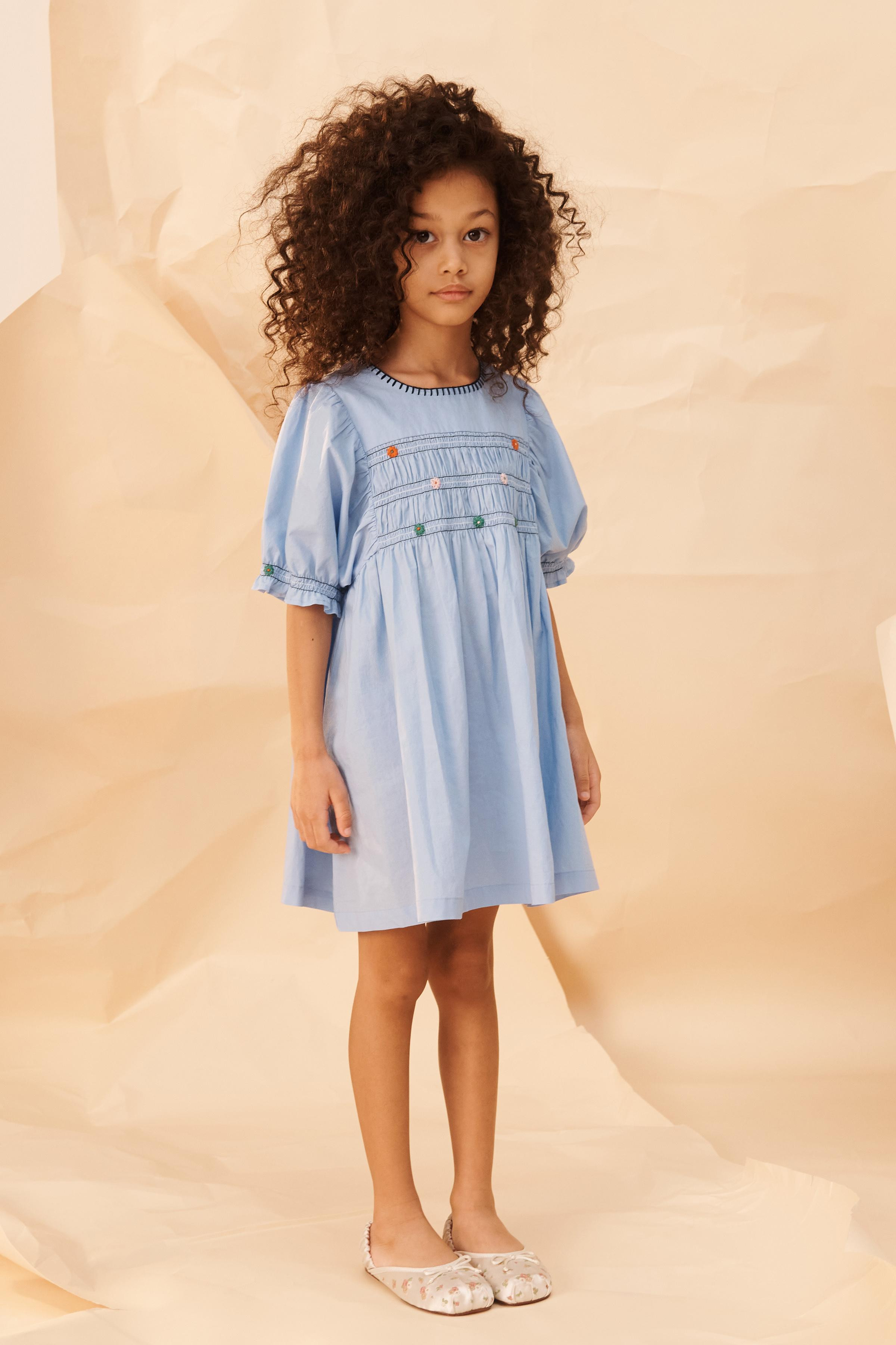 LIMITED EDITION EMBROIDERED ELASTICIZED FLORAL DRESS | Zara US