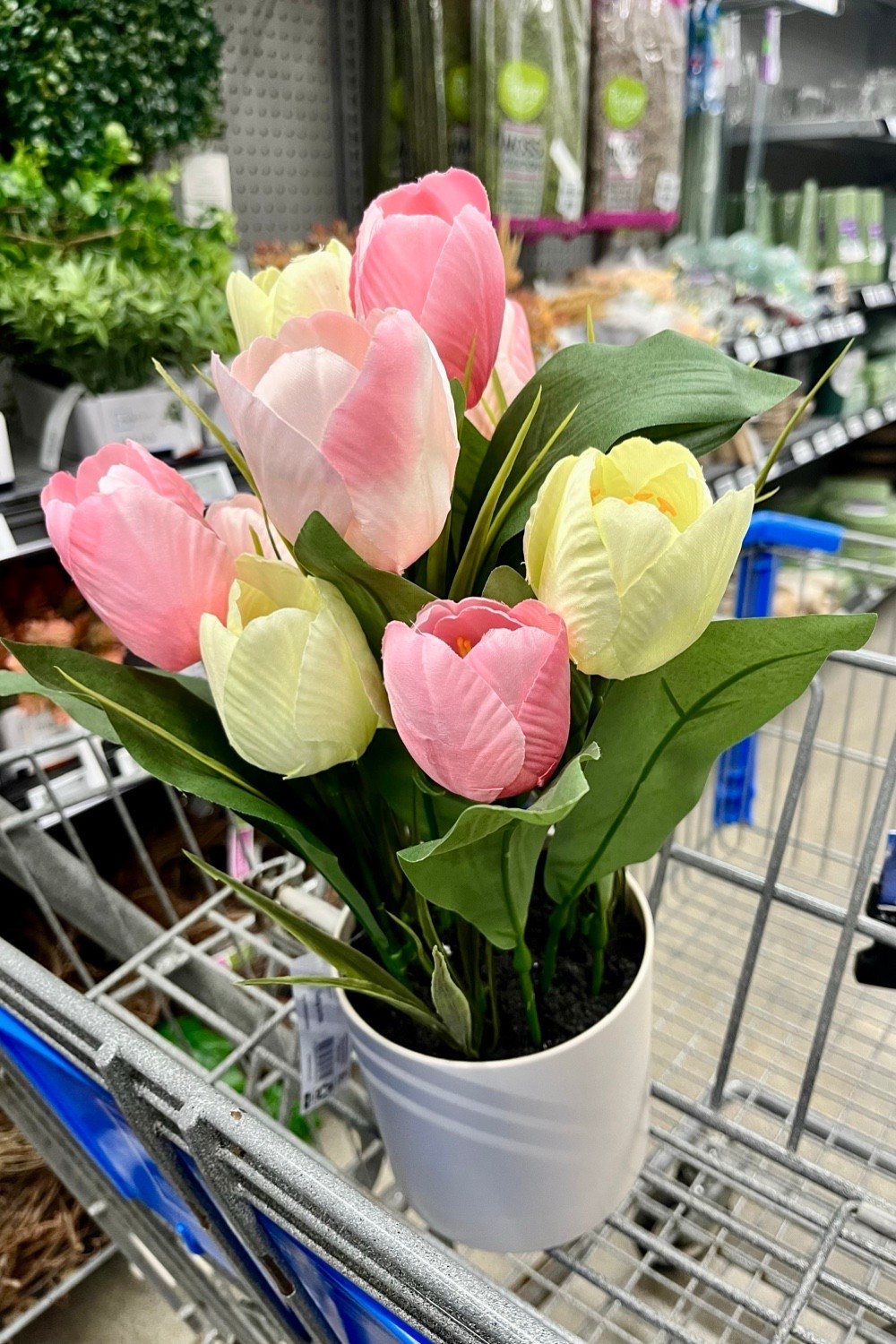 Pretty spring faux tulips in a pot at Walmart.

An inexpensive look for a seasonal pre-wedding event. About $10.

Easter spring decor, bridal shower, backyard wedding,  engagement party, engagement photo shoot,  microwedding. 

#LTKWedding #LTKSeasonal #LTKHome