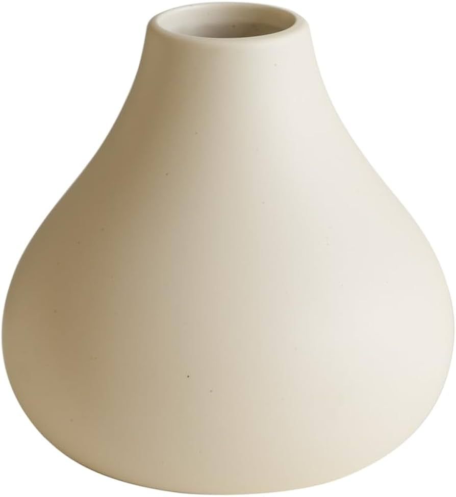 Mini Bud Vases, Ceramic Small Vase for Decor, Matte Crème (F) | Amazon (US)