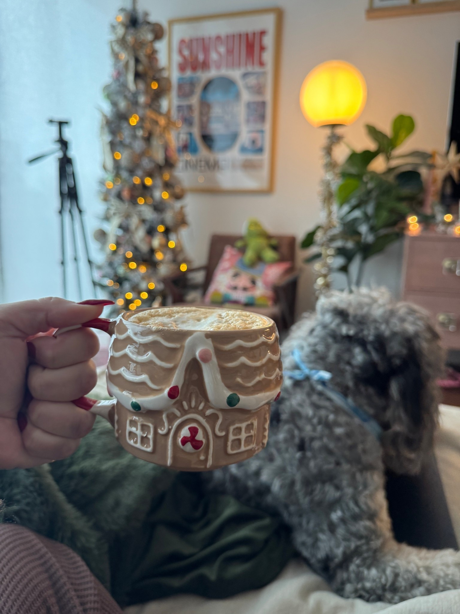 Cozy mornings 🤍

#LTKmorningroutine #LTKHome