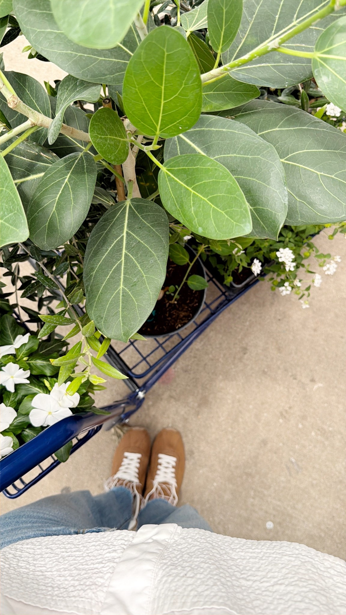 Garden center must haves - white blouse and comfy sneakers 

#LTKHome #LTKOver40