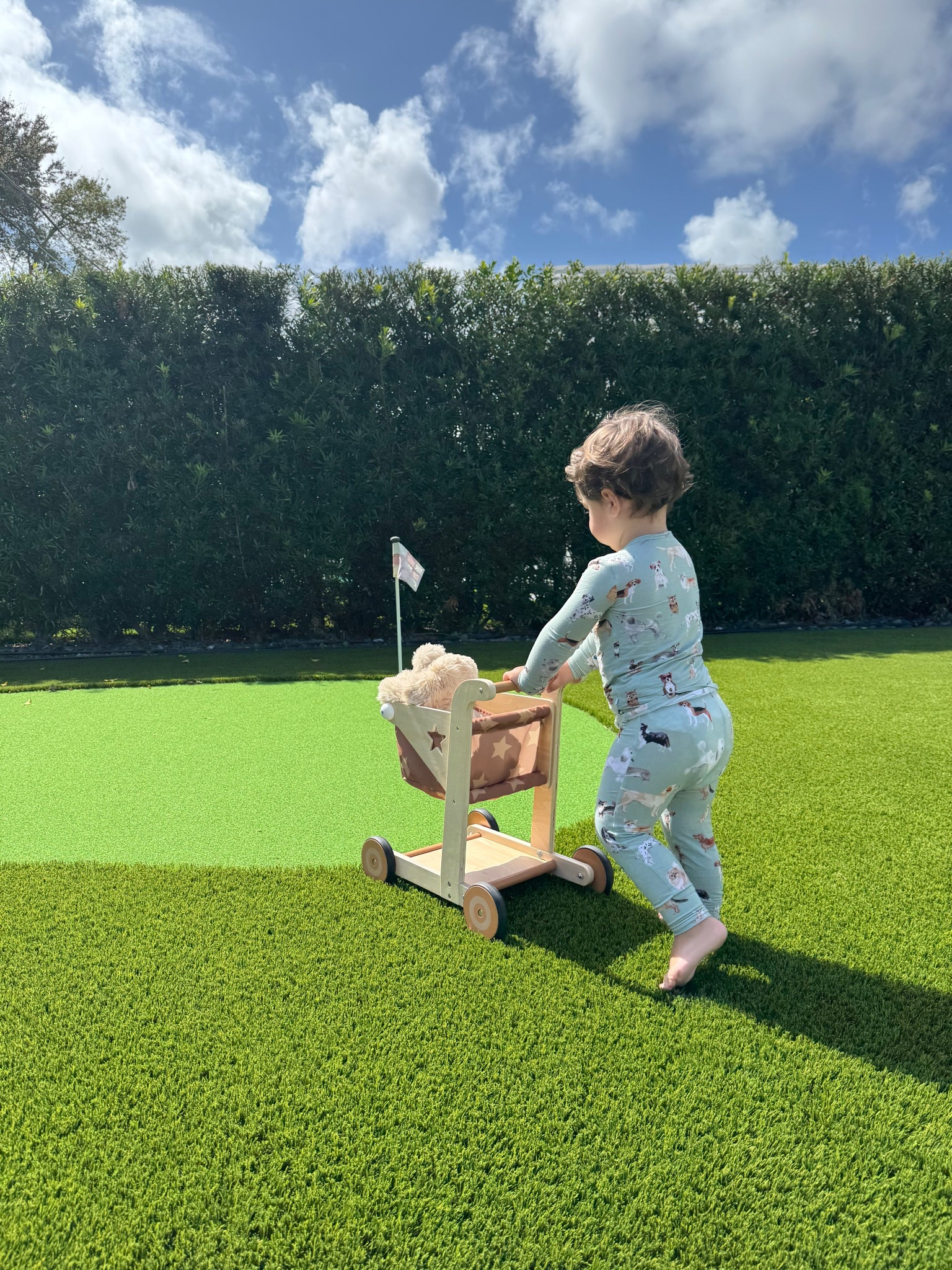 Emmett’s cutie pajama 🐶✨🤎

#LTKBaby #LTKdayinmylife #LTKKids