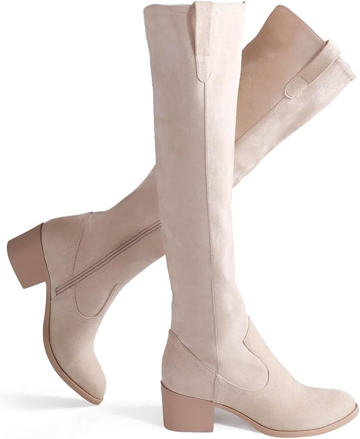 Shoe'N Tale Women's Over The Knee Thigh High Chunky Heel Pointed Toe Faux Suede Side Zipper Fall ... | Amazon (US)