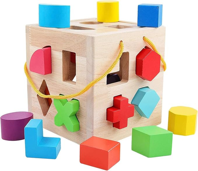 QZM Shape Sorter Toys with 19 Colorful Wood Geometric Shape Blocks and Sorter Sorting Cube Box Cl... | Amazon (US)