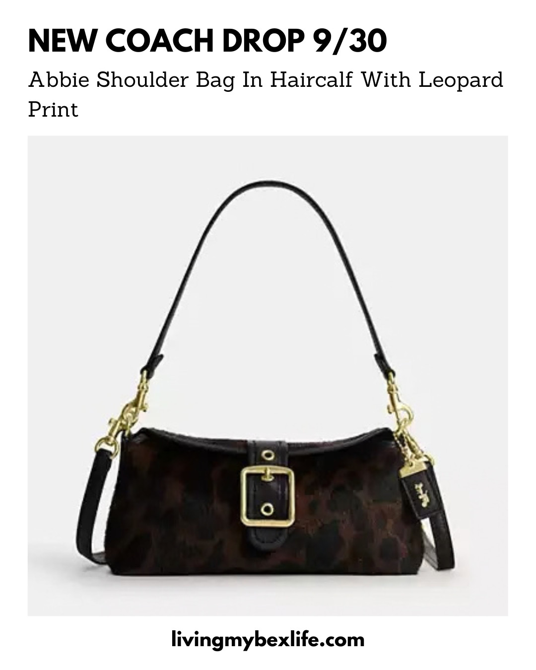 New Coach Abbie Shoulder Bag In Haircalf With Leopard Print | coach drop 9/30, coach leopard print, coach cheetah print, new coach outlet, date night bag 

 #LTKgrwm #LTKootd #LTKU