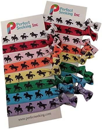 Horse Silhouettes Hair Elastics Ribbon Ties (2 Cards,16 Hair Ties) Girls Equestrianism Horseback ... | Amazon (US)
