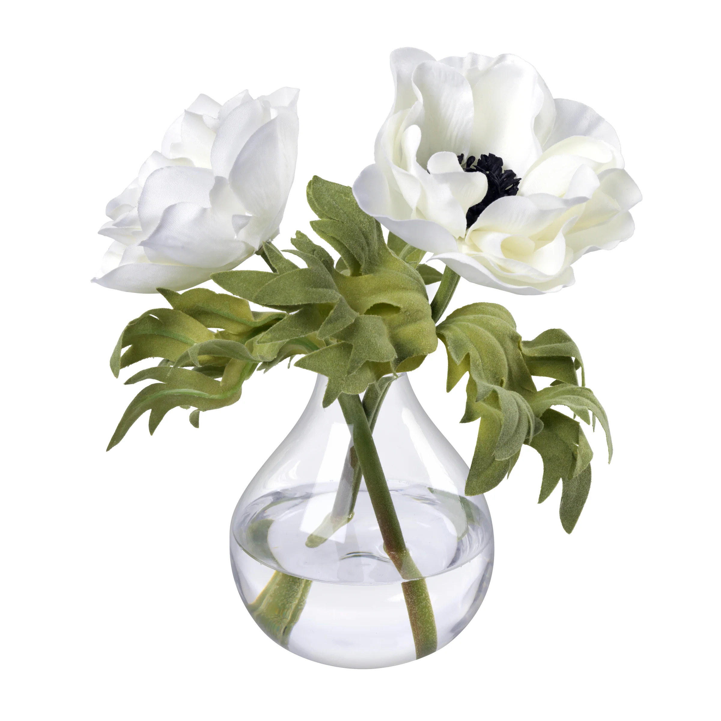 Anemones in Glass Bud Vase | Stark Carpet