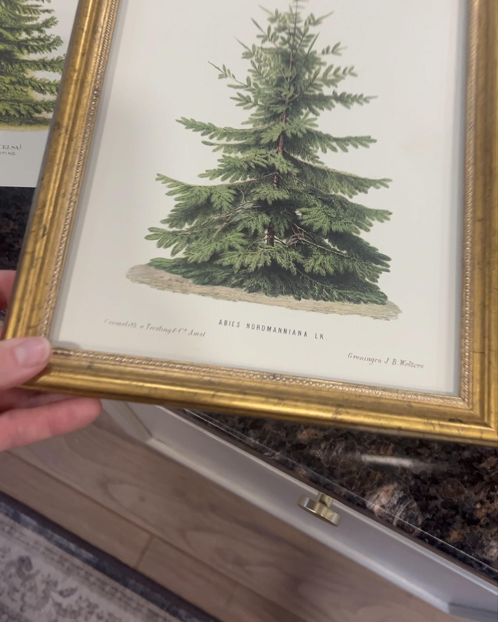 The best Christmas prints — under $12 for 4 🤯

#LTKHome #LTKHoliday #LTKSeasonal