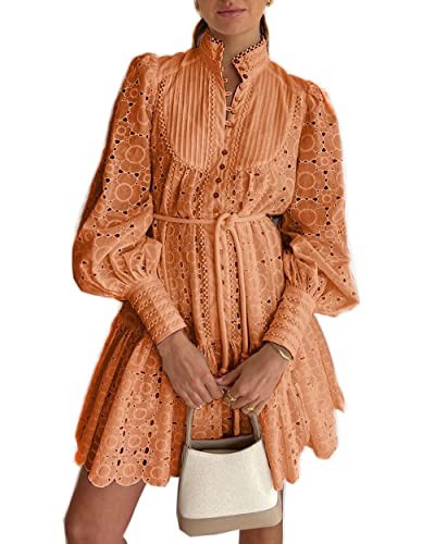 Women's Bohemian Floral Print Button Down Long Lantern Sleeve Shift Tunic Dress Casual Ruffle Swi... | Amazon (US)