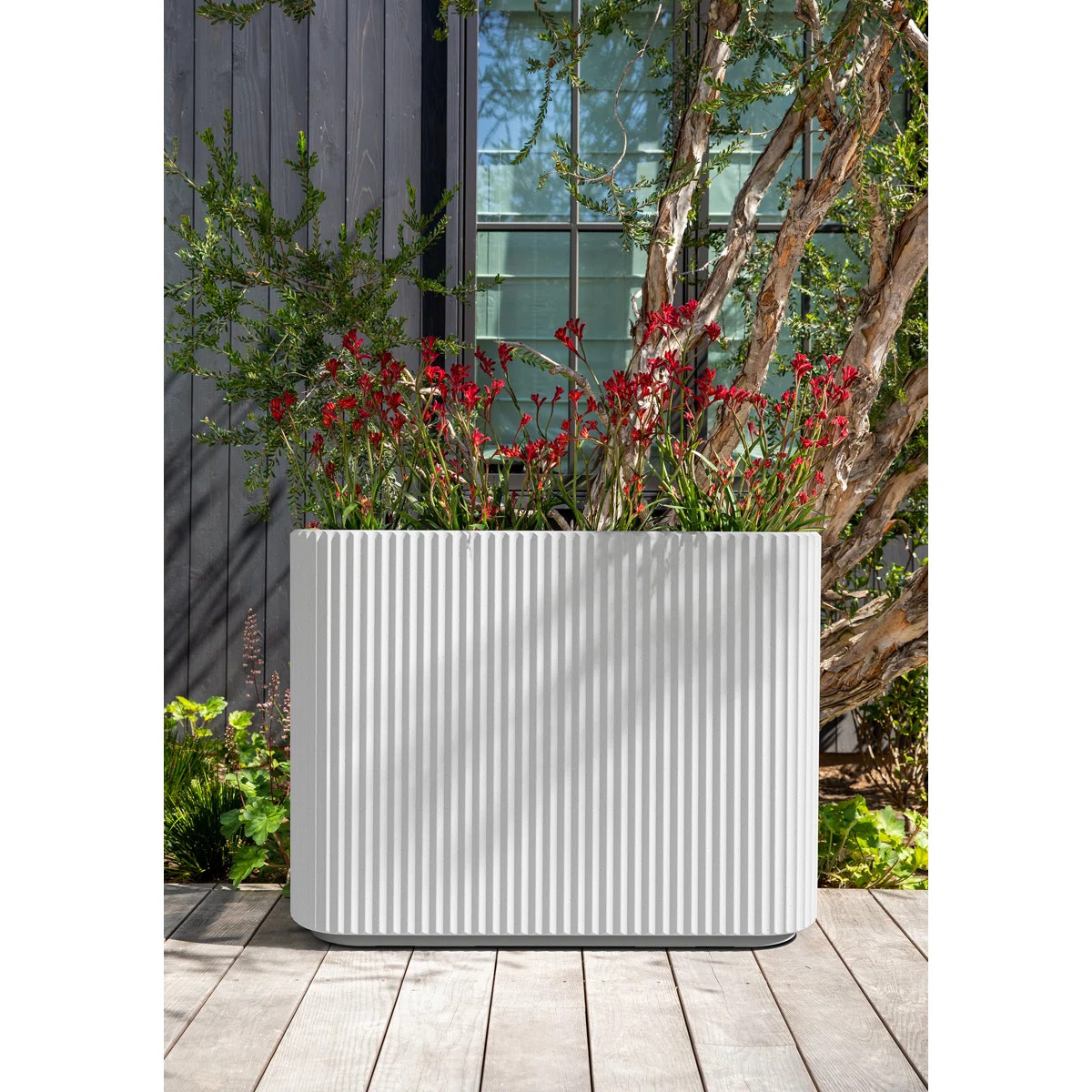 Veradek Demi Series Span Planter | Wayfair North America