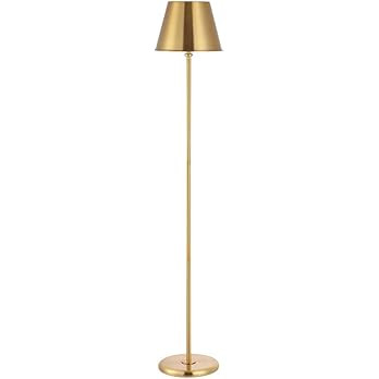SAFAVIEH Lighting Collection Asher 60-inch Brass Iron Floor Lamp (LED Bulb Included) FLL4094A | Amazon (US)