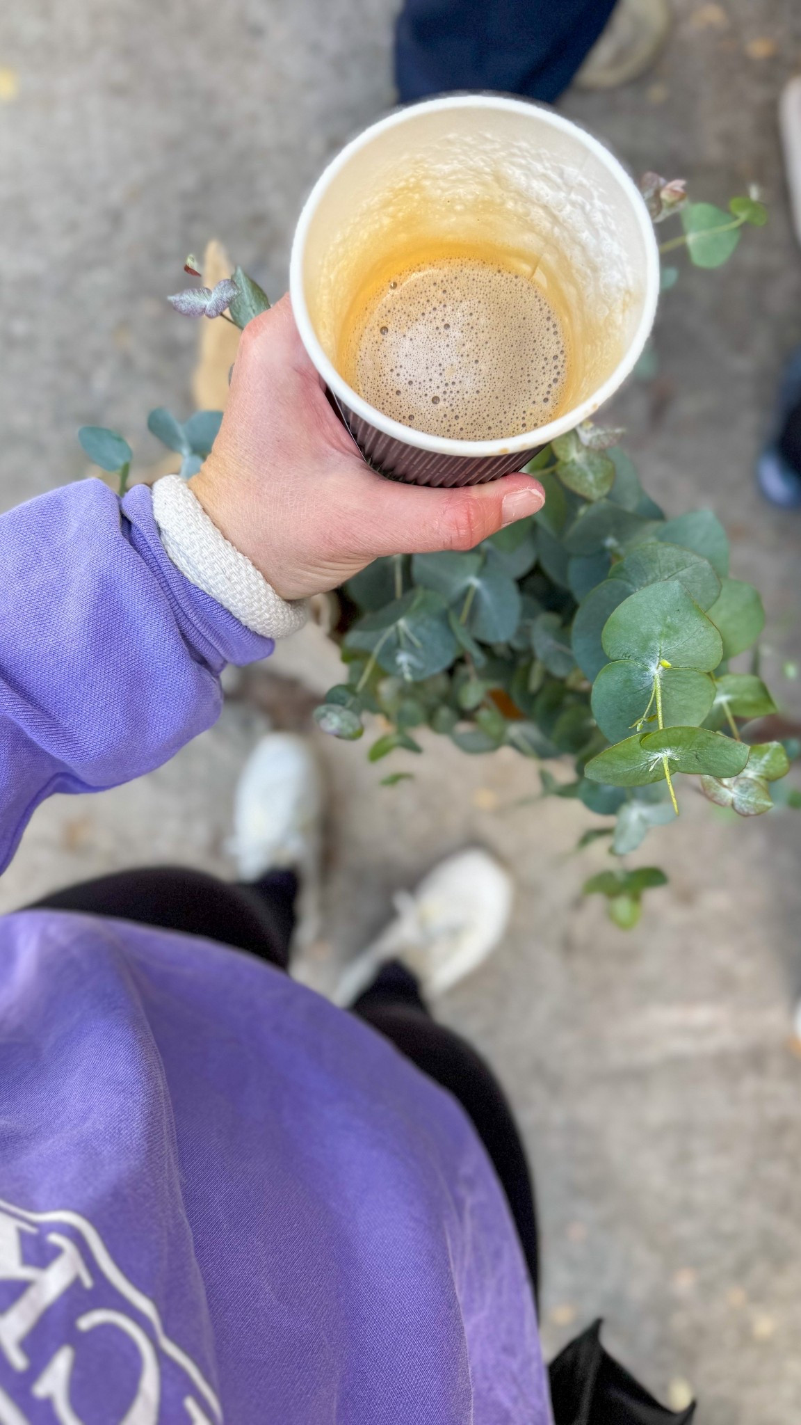 1st day of November calls for a slow walk through the local farmers market 

#LTKSeasonal #LTKOver40