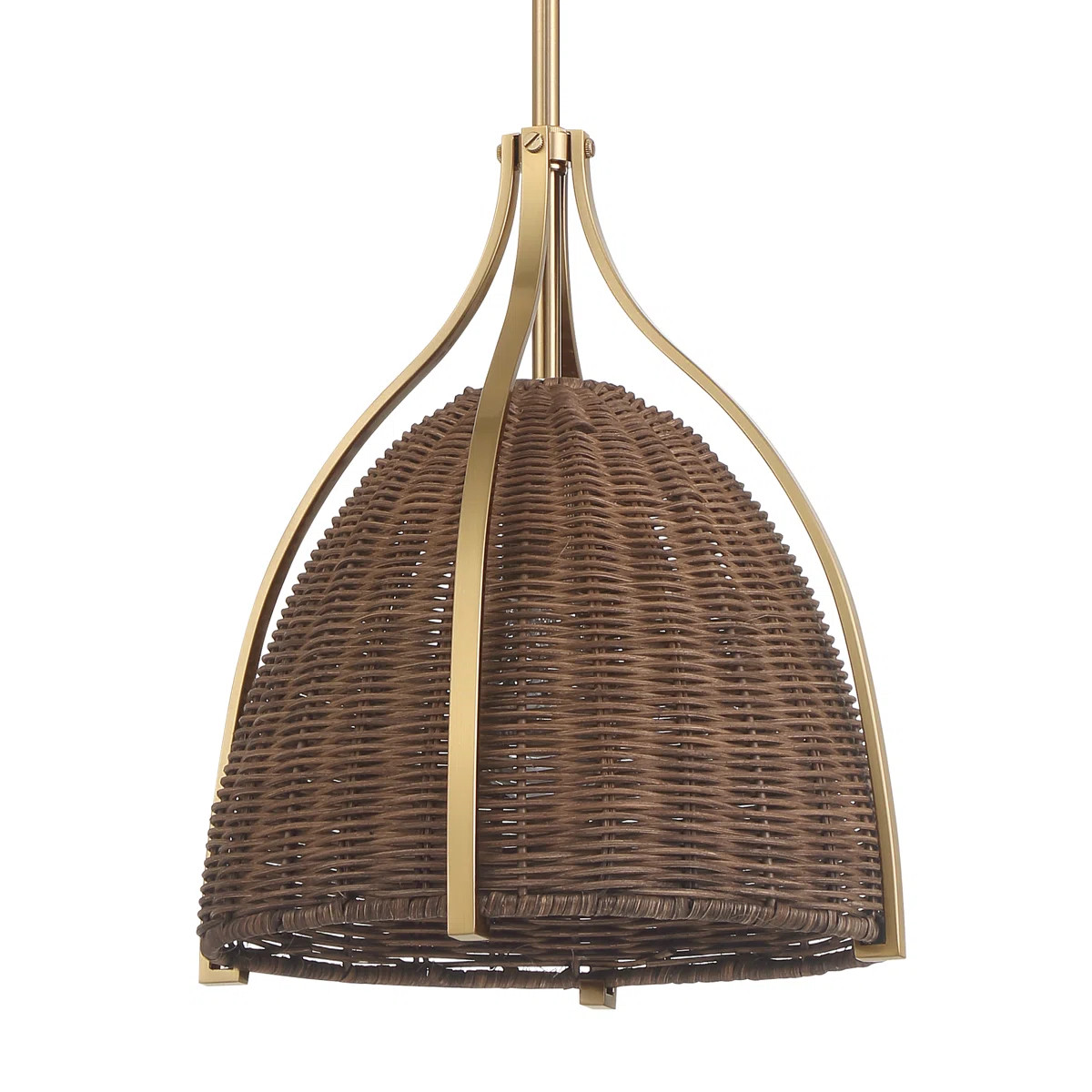 Hunter Arcelia 1 Light Pendant Ceiling Light Fixture | Wayfair North America