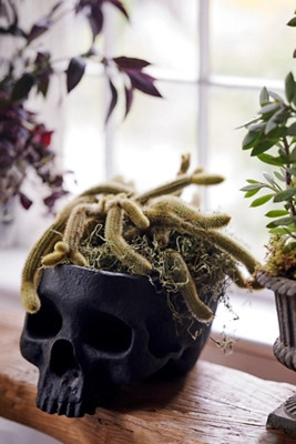 Fiber Stone Skull Planter | Terrain