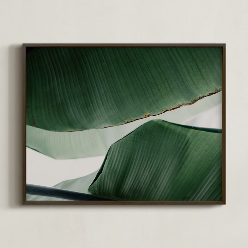 Leaf & Light 4 | Minted