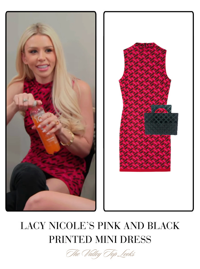 Lacy Nicole's Pink and Black Printed Mini Dress // Bag by Lala Lexa 

 